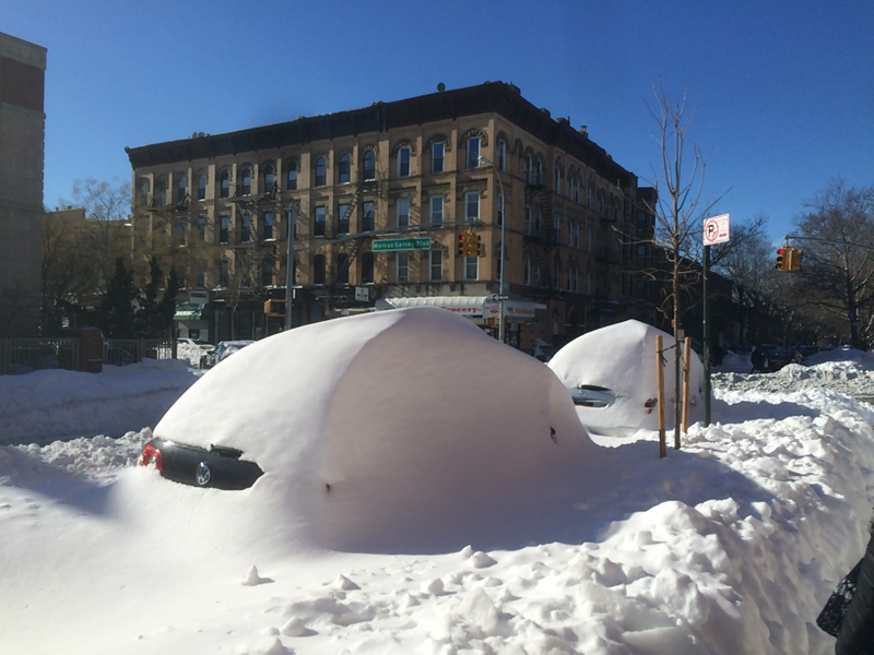 Illustration for article titled A Blizzard Grows in Brooklyn